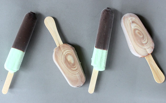 Weight Watchers Popsicles