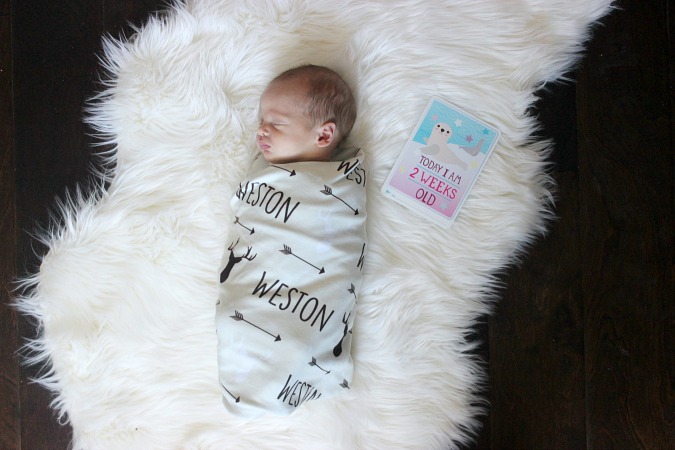 Audrey's Bear Swaddle and Milestone Cards