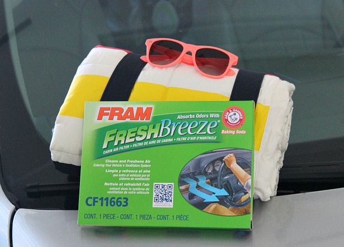 FRAM Fresh Breeze Air Filter