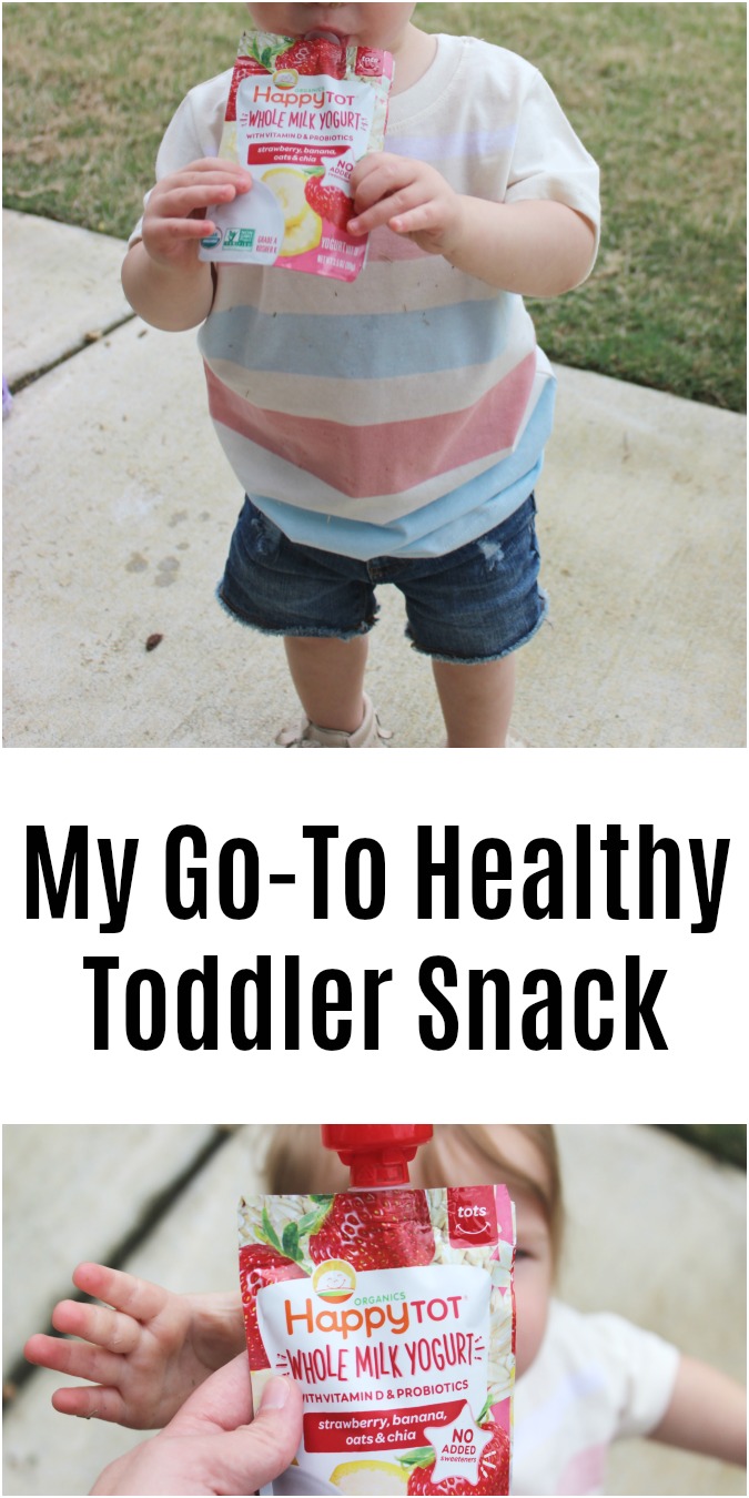 My Go-To Healthy Toddler Snack LoganCan.com
